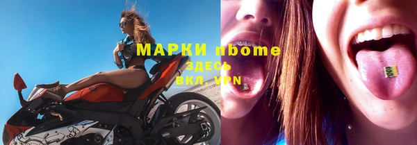 крисы Новокубанск
