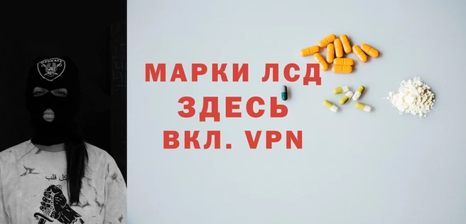 крисы Новокубанск