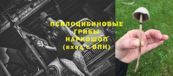 круглые Новозыбков