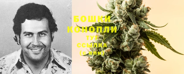 крисы Новокубанск