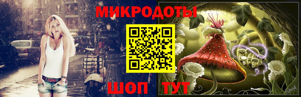 Галлюциногенные грибы Cubensis Барнаул