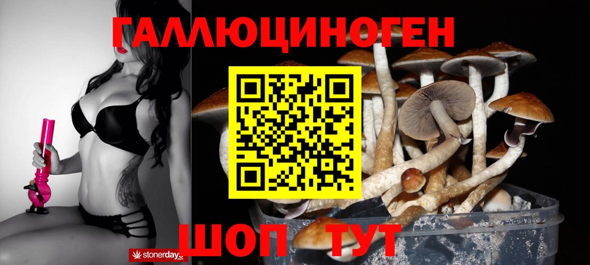 Галлюциногенные грибы MAGIC MUSHROOMS Барнаул